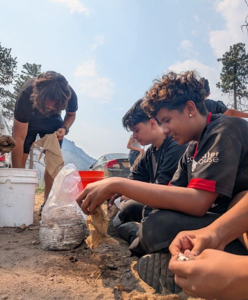 Students make "mycelium burritos" as part of their wildfire restoration service work.