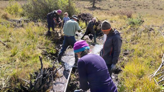 Changemakers dig along George Creek as part of their Greenback restoration service work.