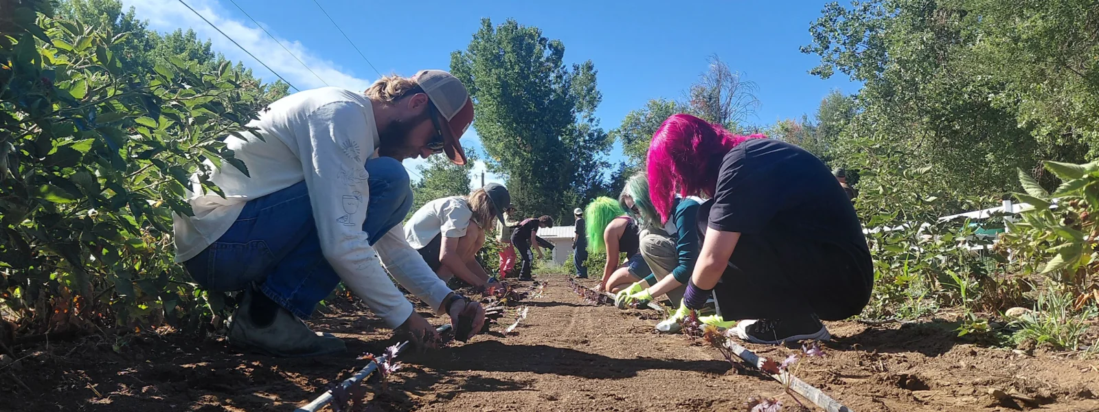 New Vista student learn about regenerative farming while planting crops at Ollin Farms.